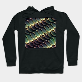 Dragon Scales, Seven: Hoodie